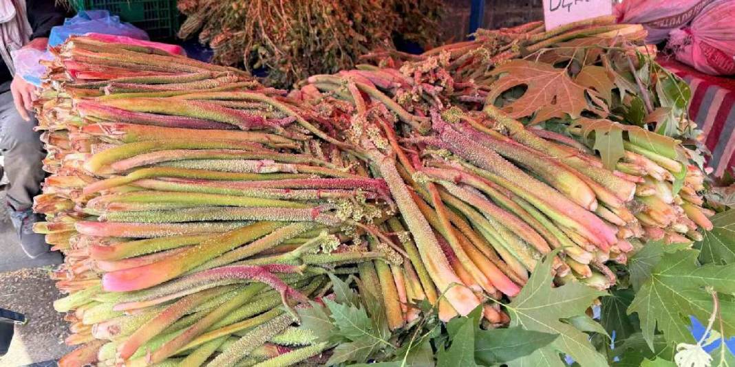 Şifası dilden dile dolanıyor, kendisi zor bulunuyor! Bu bitki tezgahta dakikalar içinde tükeniyor… 1